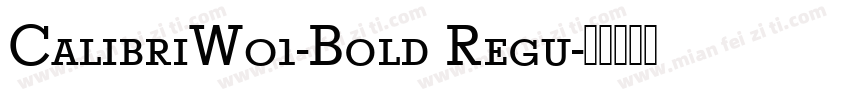 CalibriW01-Bold Regu字体转换